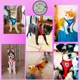 thumbnail image 5 of Pechera Arnes Correa Perro Gato Razas Medianas, 5 of 6