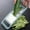 Green, variant on WZXPWT Stainless Steel Vegetable Shredder, Double-Sided Potato and Radish Peeler, Multifunctional Kitchen Grater for Thickness and Thinness