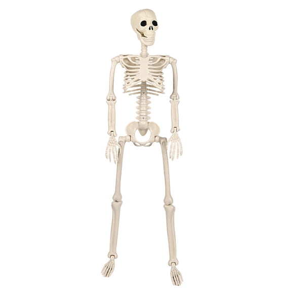 Ceiling Skeleton with Movable Joints Realistic Human Body for Halloween Party Decoration Haunting House Jewelry