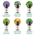 thumbnail image 2 of MAYJAM 6Pcs Pure Essential Oils Set for Candle Making, Diffuser Oil for Home Care, Soap Making, Fragrance, Humidifiers (10Ml), 2 of 9