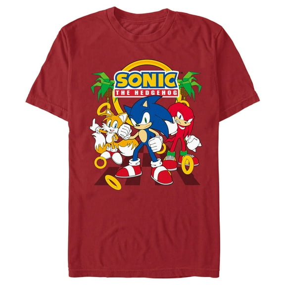 Men's Sonic the Hedgehog Classic Trio Pose  Graphic T-Shirt