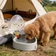 thumbnail image 4 of Carro Portamangueras para Jardín | Organizador de Mangueras | Almacenamiento y Transporte de Mangueras de Agua | Herramienta de Jardinería para El Cuidado Del Césped y El Riego de Plantas, 4 of 6