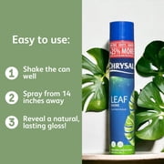Chrysal Leafshine Aerosol Spray 25 Ounces Bundled (12 Pack)