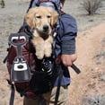 thumbnail image 2 of Wear-resistant Litter Scooper Convenient Litter Picker Handle Poop Scooper Dog Supply, 2 of 9