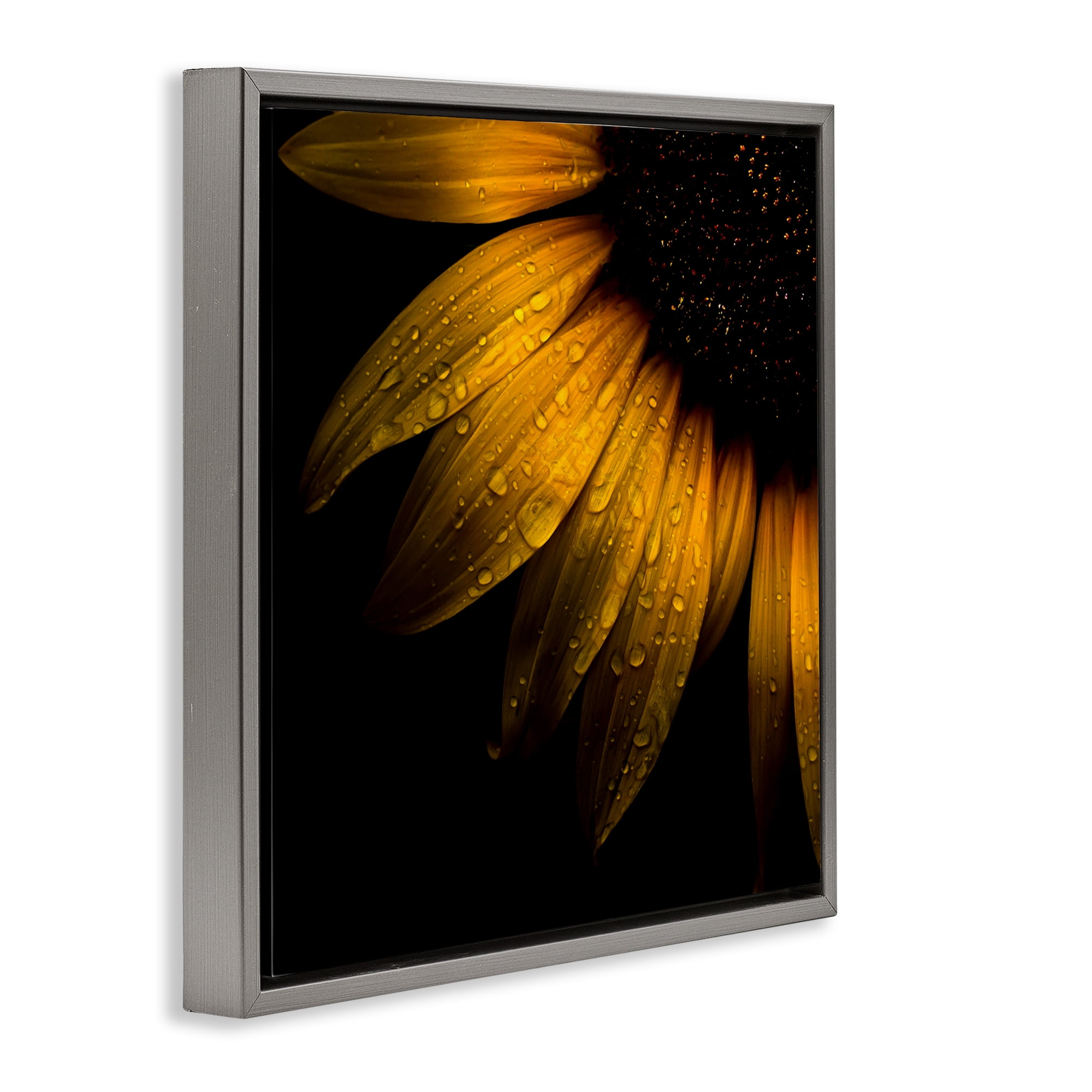 Sunflower Detail with Droplets Gray Framed Floater Canvas Wall Art, design by Brian Carson Photography