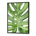 thumbnail image 3 of Designart 'Close Up Green Monstera Leaf Tropical Palm' Tropical Framed Canvas Wall Art Print, 3 of 5