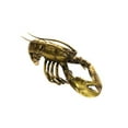 thumbnail image 1 of Interior Illusion Plus ii000283 11 Po Long Homard&44; Or et Patiné, 1 of 1