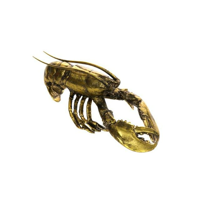 Interior Illusion Plus ii000283 11 Po Long Homard&44; Or et Patiné