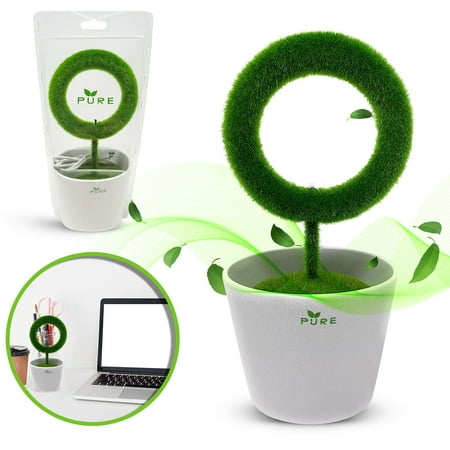 PURE Plant Air Purifier Ionizer for Desktops in Home & Office - Eliminate & Remove Odors, Allergens, Smoke, Pollen, Mold, Bacteria, & Pet Odors - PM2.5 (Best Plants To Purify The Air In Your Home)