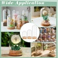 thumbnail image 6 of 24Pcs 3 Size Small Glass Display Dome Cloche Glass Display Dome with Cork Base Cloche Bell Jar Dome for Doll House Container Anniversary Party Favor Decoration, 6 of 6