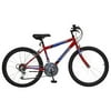 24inch Boys Mountain Fury Bicycle