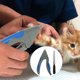 thumbnail image 1 of SWETRACE Cortauñas Para Perros Y Otros Con Hoja Resistente Y, 1 of 7