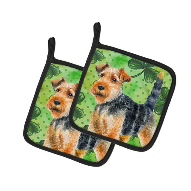 Carolines Treasures BB9874PTHD Welsh Terrier St.Patricks Paire de Porte-Pot