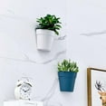 thumbnail image 6 of Minimalist Plastic Wall-mounted Hydroponic Vase Half Round Shaped Hanging Planter Garden Flower Cactus Plant Pot for Porch 1pcs (light-gray), 6 of 7