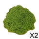 thumbnail image 1 of Simulación de , artificial Decoración Artesanía Plantas de interior Hogar,Plantas artificiales Jardineras para exterior Jardín,Plantas decorativas en macetas Plantas de, 1 of 8