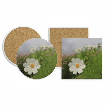 

Pure White Cosmos Coaster Cup Mug Holder Absorbent Stone Cork Base Set