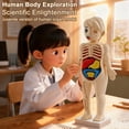 thumbnail image 2 of Visland Human Body Model with Tweezes Educational Body Structure Internal Organ Learning Toy Body Parts Assembly Kit 3D Anatomy Physiology Study Tool, 2 of 7