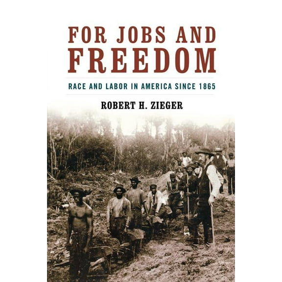 Civil Rights and the Struggle for Black  For Jobs and Freedom: Race and Labor in America Since 1865, (Paperback)