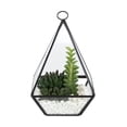 thumbnail image 4 of hometrends  Succulent Terrarium, 4 of 5