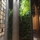 thumbnail image 5 of Apuakthei Gosear Wand Montiert H?ngende Vertikal Bepflanzung Taschen Grün Wachsen Pflanzer mit 36 Taschen für Haus Wand Balkon Garten Versorgung Schwarz, 5 of 7