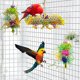 thumbnail image 5 of Paquete de 3 juguetes para masticar pájaros, juguete triturador para forraje, jaula para loros, juguete triturador para pájaros, juguetes de lufa, juguete colgante para forraje Namotu WRQX-362, 5 of 5