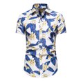thumbnail image 1 of Hombres Casual Botones Playa Sin posicionamiento Estampado Turndown Camisa de manga corta Blusa Pompotops  oipoqjl48181, 1 of 8