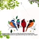 thumbnail image 2 of Panel de ventana de plexiglás teñido alto con pájaro colorido sobre alambre, estilo colgante decorativo de colección de pájaros 1, 2 of 4