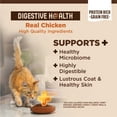 thumbnail image 3 of Wellness CORE+ Adult Dry Cat Food for Indoor and Outdoor Cats, Wholesome Grains, Natural, Digestive Health Chicken & Rice (11 Pound Bag), 3 of 9