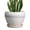 Cream White, variant on Ceramic Modern Glaze Succulent Planter Pot with Drainage Hole and Saucer 6 Inch Round Flower Plant Pot for Indoor Outdoor Herb Snake Plants