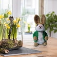 thumbnail image 4 of Penkiiy Wool Felted Bunny Easter Decorations, Handmade Wool Felt Bunny Ornaments Easter Rabbit Ornament Cute Handcraft Felted for Spring Easter Decor Gifts, 4 of 6