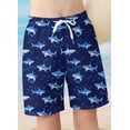 thumbnail image 7 of Lanbubble Boys Two Piece Rash Guard Swimsuits Sets Bathing Suits with Trunks 4-10 Years, 7 of 7