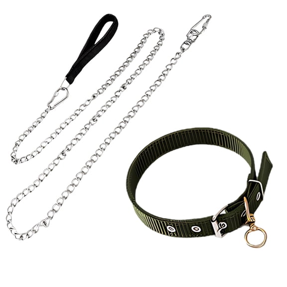 Dog Leash and Collar Set, 4.9 ft / 150 cm Stainless Steel Dog Leash with 0.12 in / 0.3 cm Dia Chain, Heavy Duty Nylon Dog Collar for Small to Medium Dogs Up to 40 lbs, Silver & Green