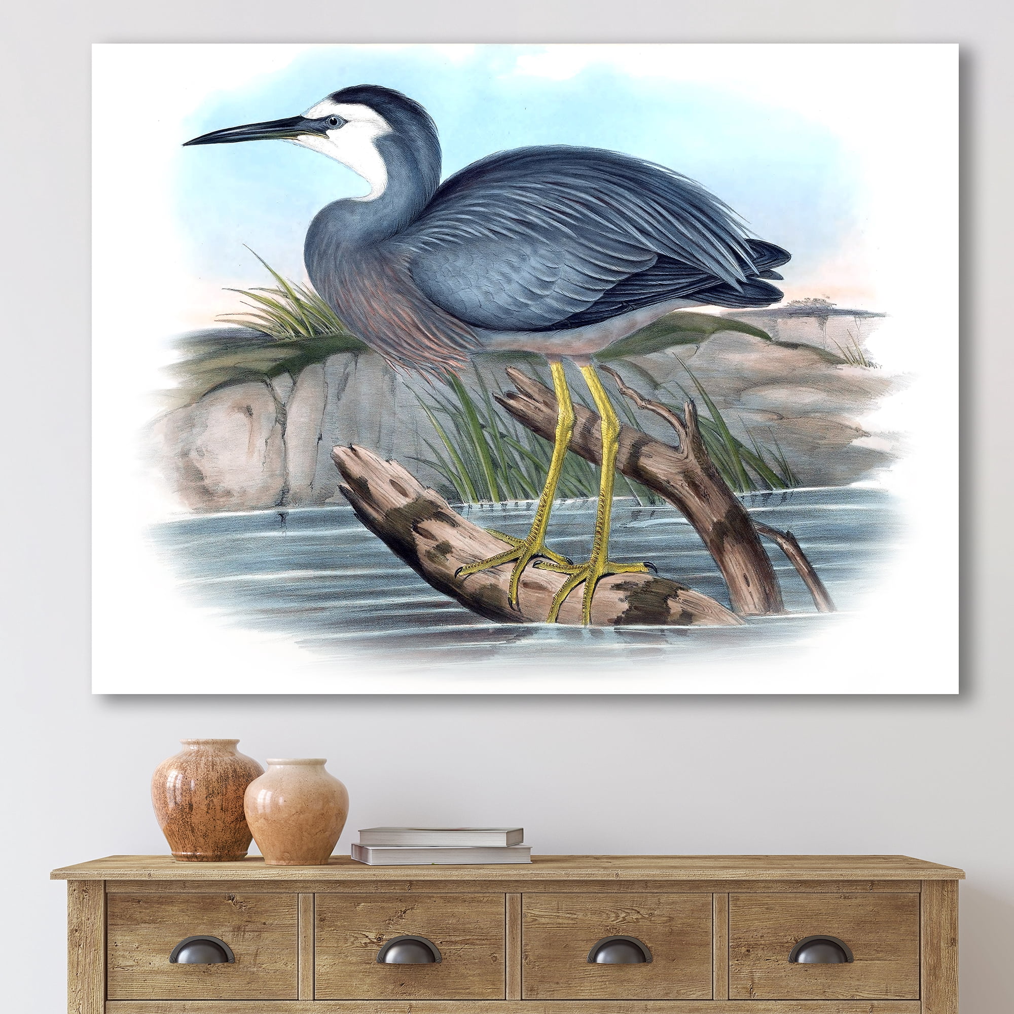 Designart ' Ancient Australian Birds II ' Traditional Canvas Wall Art Print