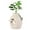 Beige, variant on Pefilos 63L Smart Plant Cat Litter Box Furniture, Hidden Cat Litter Box Enclosure with Electronic Odor Removal and Sterilization for Multi Cats, White