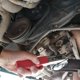 thumbnail image 5 of Llave de filtro de aceite de coche llave de elemento de filtro ajustable herramienta de desmontaje de mantenimiento de coche Lh-1 Dontodent Dontodent Kuyhfg Sin marca, 5 of 5
