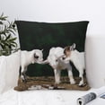 thumbnail image 4 of Pofeuu Cute Goat Baby Print Double-sided plush pillowcase Square Throw Pillow Covers Pillows Cover for Living Room Bedroom Sofa Couch Cushion Cover（No pillow core）-26"x26", 4 of 7