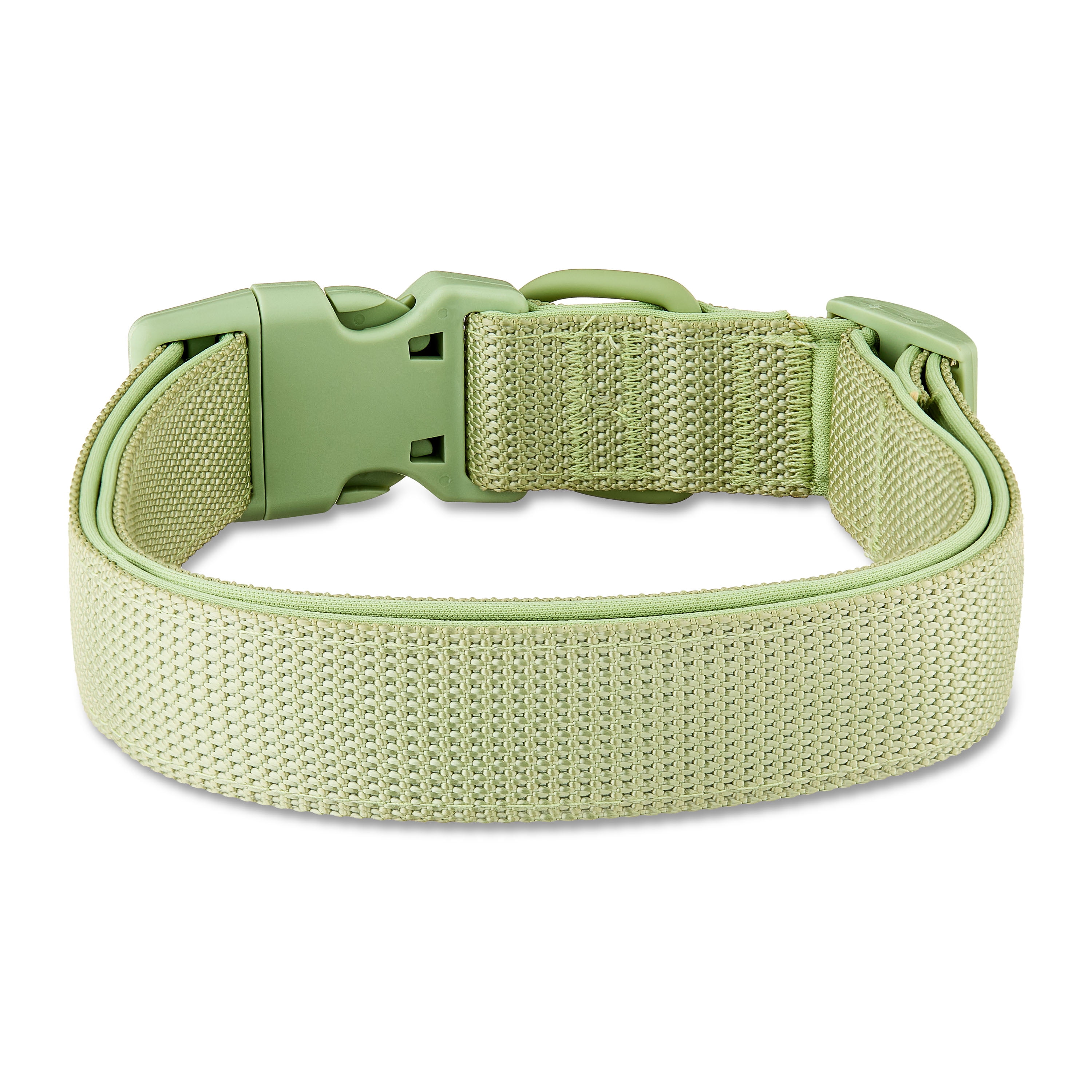 Vibrant Life Neoprene Cushioned Adjustable Dog Collar, Sage Green, XL