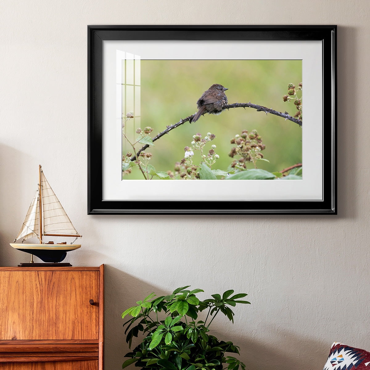 Resting Sparrow Premium Framed Print - Ready to Hang