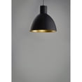 thumbnail image 3 of Maxim 11022BKGLD 8.75 in. Cora 1-Light Pendant Ceiling Light, Black & Gold, 3 of 5