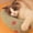 Green, variant on Cats Pillow Pet Pillow Wear Resistants Small Pillow Half Donut Pillow Can Be Washed Machine Washed Small Pillow Soft Warm Fluffies Pet Toys