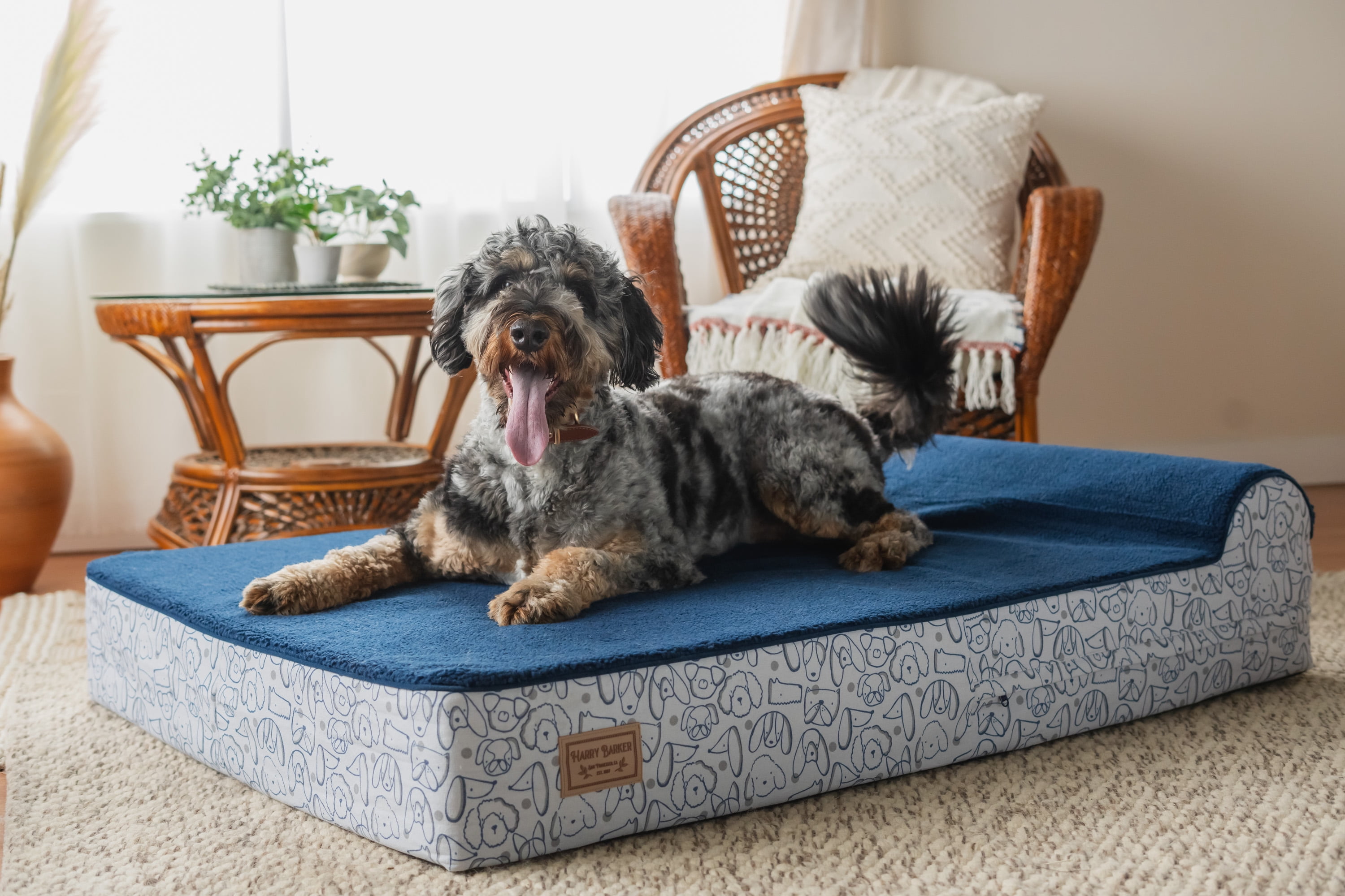 Harry Barker Premium Waterproof Orthopedic Pet Bed, 11 Inches Thick, BLue, XL