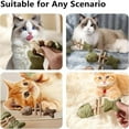 thumbnail image 5 of Natural Fishbone Cat Dental Toy, 7In Cat Chew Toy with Catnip & Natural Silvervine, Healthy Teeth Cleaning Dental Chew for Indoor Cats and All Cat Breeds with Edible Design, 5 of 10
