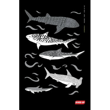 Scuba Diving In Bali - A Guide For 1st-Time Divers In Bali – Go Guides