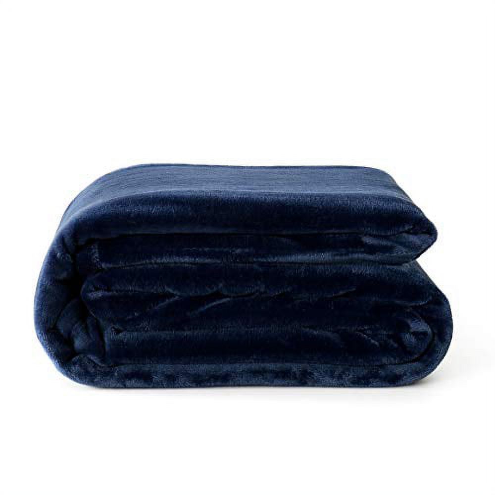 Reafort Ultra Soft Flannel Fleece All Season Light Weight Living Room/Bedroom Warm Throw Blanket (Blue, Twin 66"X90")
