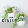 thumbnail image 5 of Thanksgiving Decorations, Artificial White Pumpkin and Plastic Succulents Autumn Fall Tabletop Decor Centerpiece Rustic Farmhouse Decoration for Office Bedroom Kitchen Party Harvest Day, 5 of 9