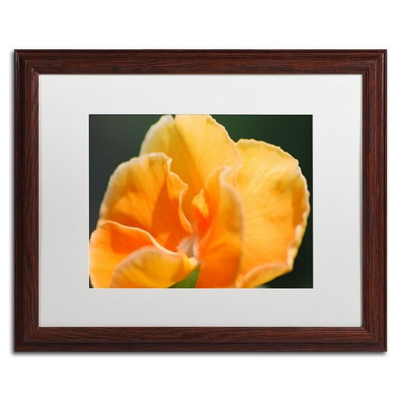 Trademark Fine Art "Simple Compassion" Canvas Art by Monica Mize, White Matte, Wood Frame