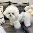 thumbnail image 2 of Adorable Pet Clothes for Cats & Small Dogs - Charming Spring & Autumn Wear, 2 of 2
