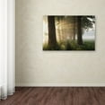 thumbnail image 3 of Vincent Croce 'First Day Of Summer' Canvas Art, 3 of 3