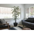 thumbnail image 6 of 77 in. Bamboo Tree with Planter, 6 of 6