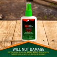 thumbnail image 1 of Boreal Craft 118ML 100 Sprays Effective For 10 Hours For Outdoor Use In Summer, 1 of 7